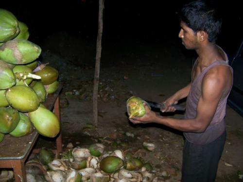 A Fresh Coconut (bangalore_100_1849.jpg) wird geladen. Eindrucksvolle Fotos von der indischen Halbinsel erwarten Sie.